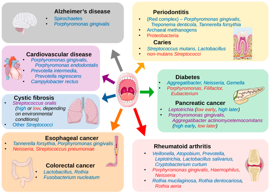 Oral Microbiome & Metabolic Diseases